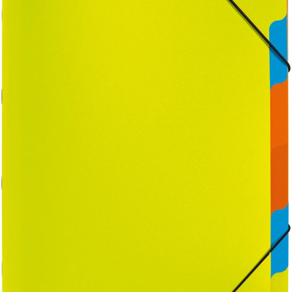 PAGNA Ordnungsmappe A4 41803-17 grün 5-teilig