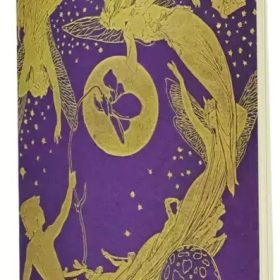 PAPERBLANKS Notizheft A6 CBD6284 Violet Fairy blanko 80 S.