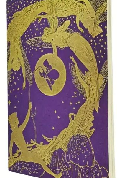 PAPERBLANKS Notizheft A6 CBD6284 Violet Fairy blanko 80 S.