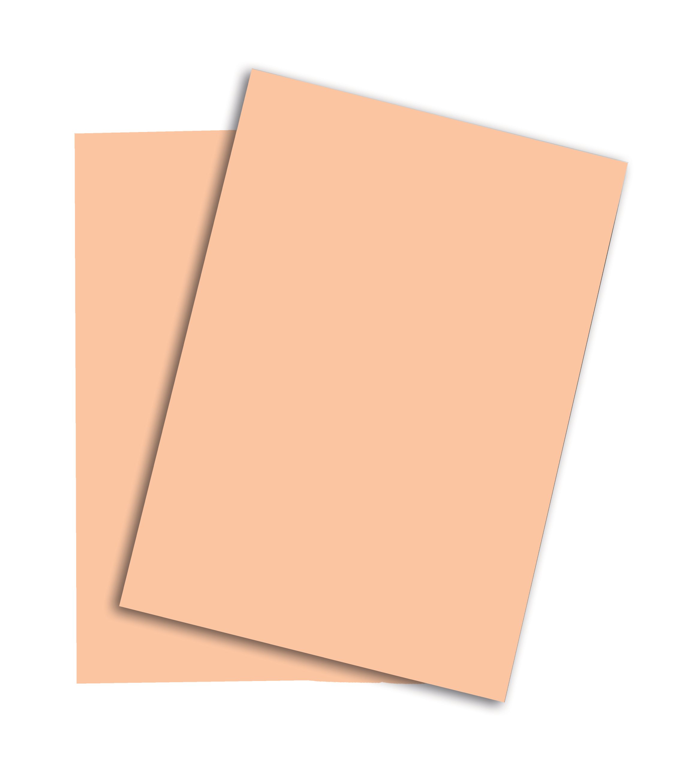 Blank paper sheets for brochure on grey background, top view. Mo PAPYRUS Rainbow Papier FSC A3 88042500 80g, lachs 500 Blatt – Hochwertig & günstig bei ShopDeca