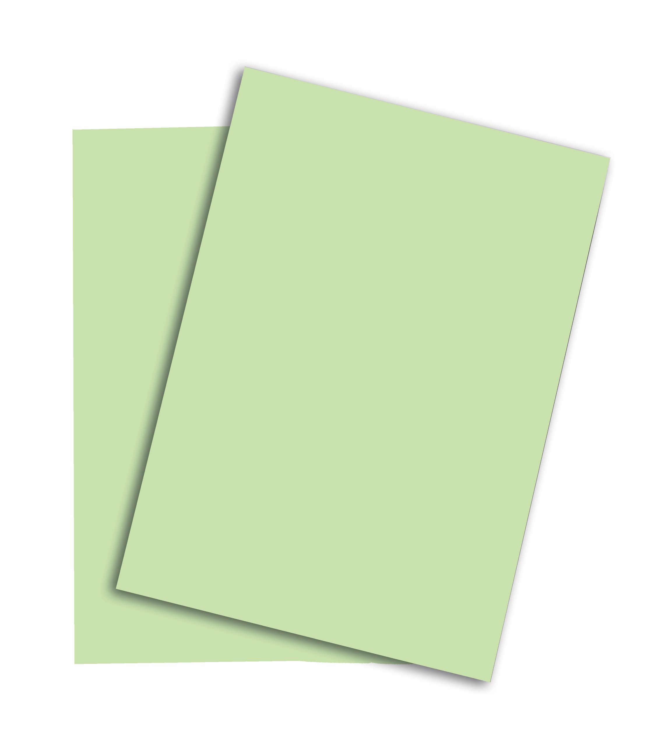 Blank paper sheets for brochure on grey background, top view. Mo PAPYRUS Rainbow Papier FSC A3 88042632 mittelgrün, 80g 500 Blatt – Hochwertig & günstig bei ShopDeca