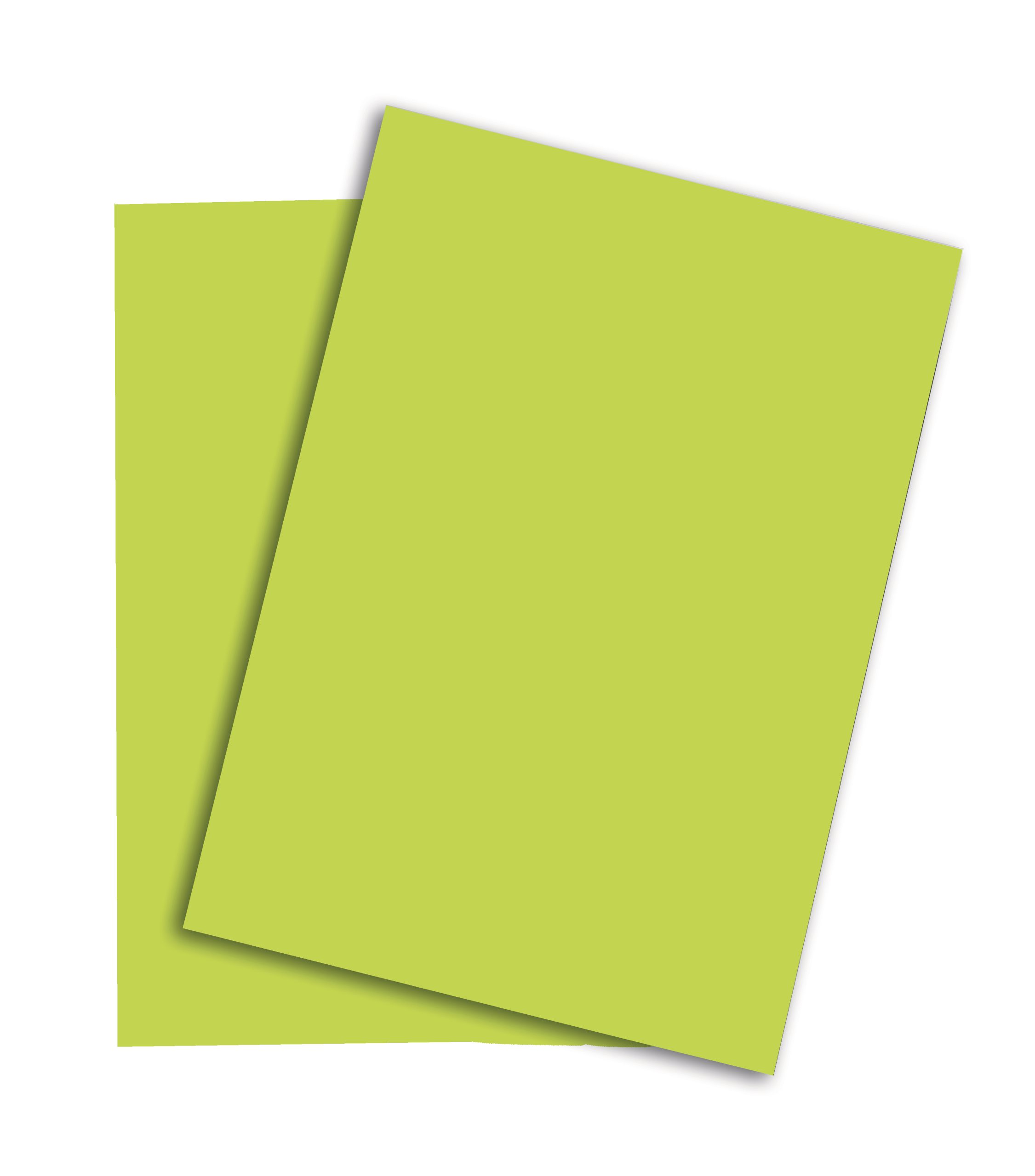 Blank paper sheets for brochure on grey background, top view. Mo PAPYRUS Rainbow Papier FSC A4 88043110 leuchtend grün, 120g 250 Blatt – Hochwertig & günstig bei ShopDeca