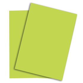 PAPYRUS Rainbow Papier FSC A4 88043138 leuchtend grün, 160g 250 Blatt