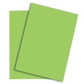 PAPYRUS Rainbow Papier FSC A4 88043140 160g, grün 250 Blatt