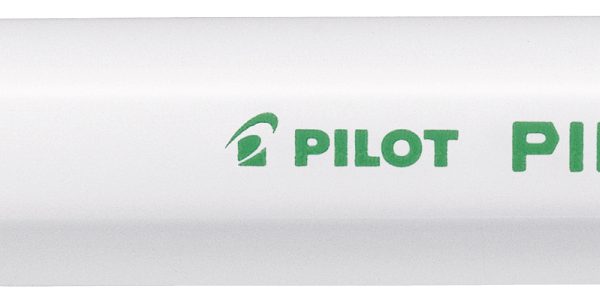 PILOT Marker Pintor F SW-PT-F-LG hellgrün