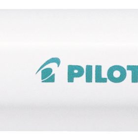 PILOT Marker Pintor F SW-PT-F-MG metallic grün