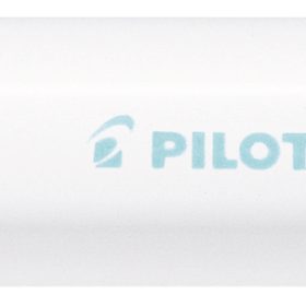 PILOT Marker Pintor F SW-PT-F-PG pastell grün