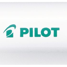 PILOT Marker Pintor M SW-PT-M-G grün