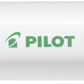 PILOT Marker Pintor M SW-PT-M-LG hellgrün