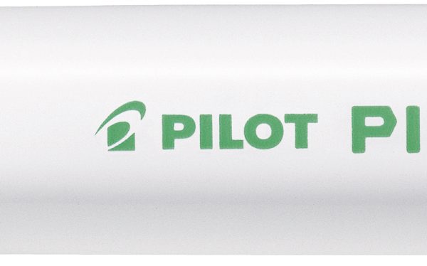 PILOT Marker Pintor M SW-PT-M-LG hellgrün