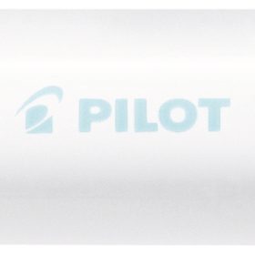 PILOT Marker Pintor M SW-PT-M-PG pastell grün