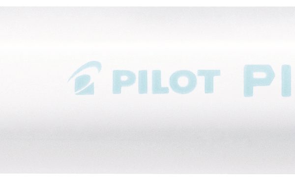 PILOT Marker Pintor M SW-PT-M-PG pastell grün