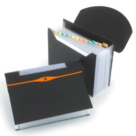 REXEL OPTIMA Fächermappe A4 2102483 schwarz 13 Fächer