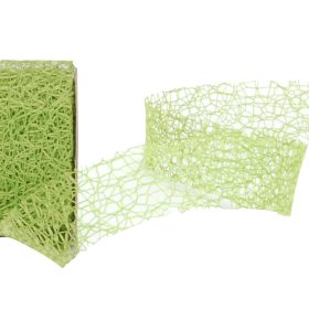 SPYK Band Cubino 25mm/4m 2848.2564 grün Netty