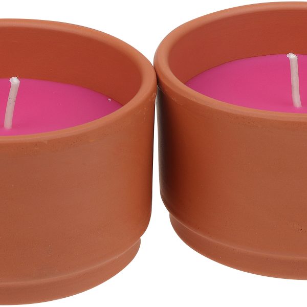 STEINHART Outdoor Kerze Terra 50x80mm 2043216000 pink 2 Stück