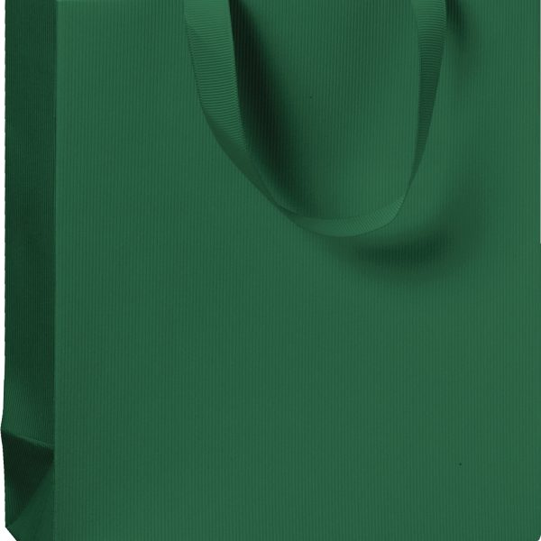 STEWO Geschenktasche One Colour 2543782696 grün dunkel 18x8x21 cm