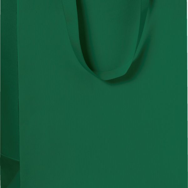 STEWO Geschenktasche One Colour 2544782696 grün dunkel 23x13x30 cm