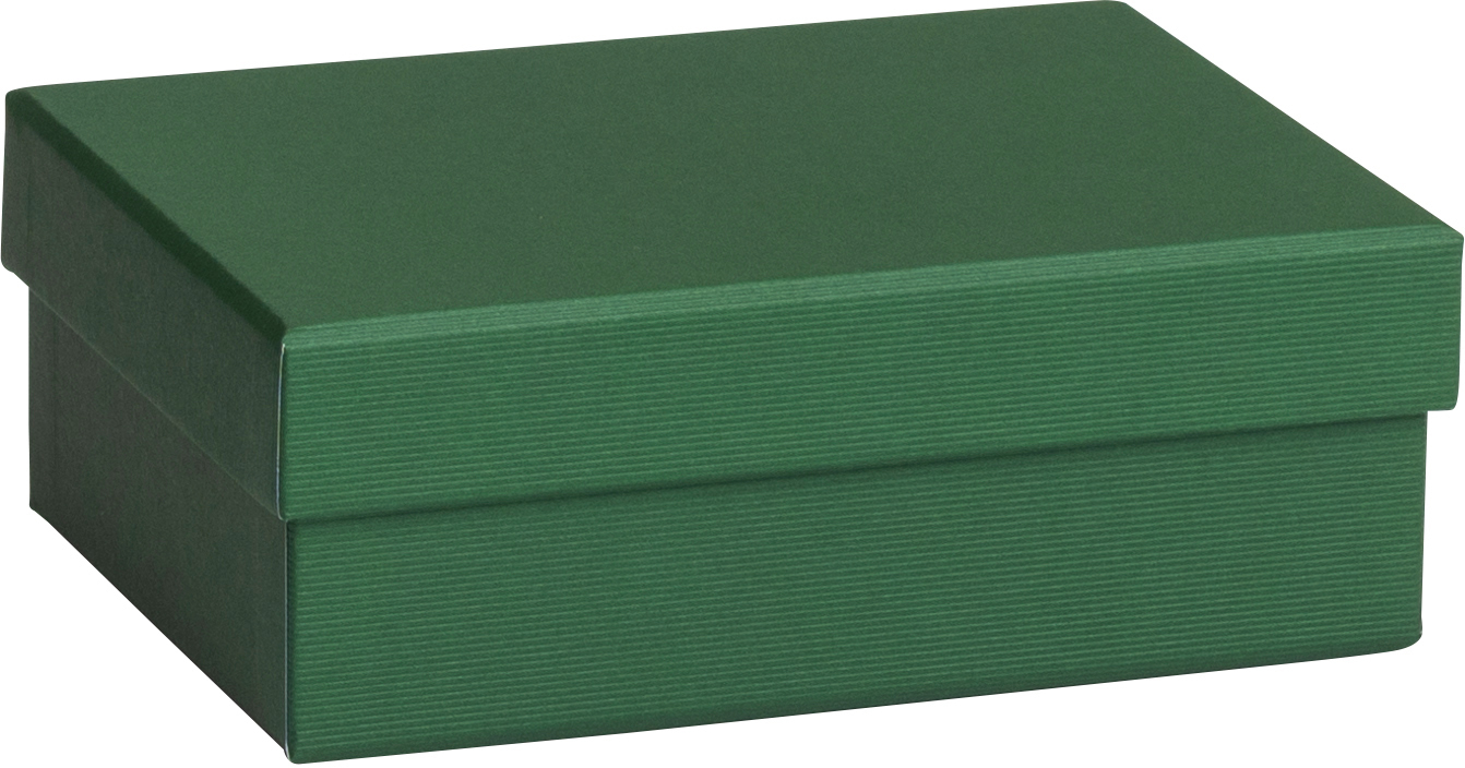 STEWO-2551782691-7630050846476 STEWO Geschenkbox One Colour 2551782691 grün dunkel 12x16.5x6cm – Hochwertig & günstig bei ShopDeca