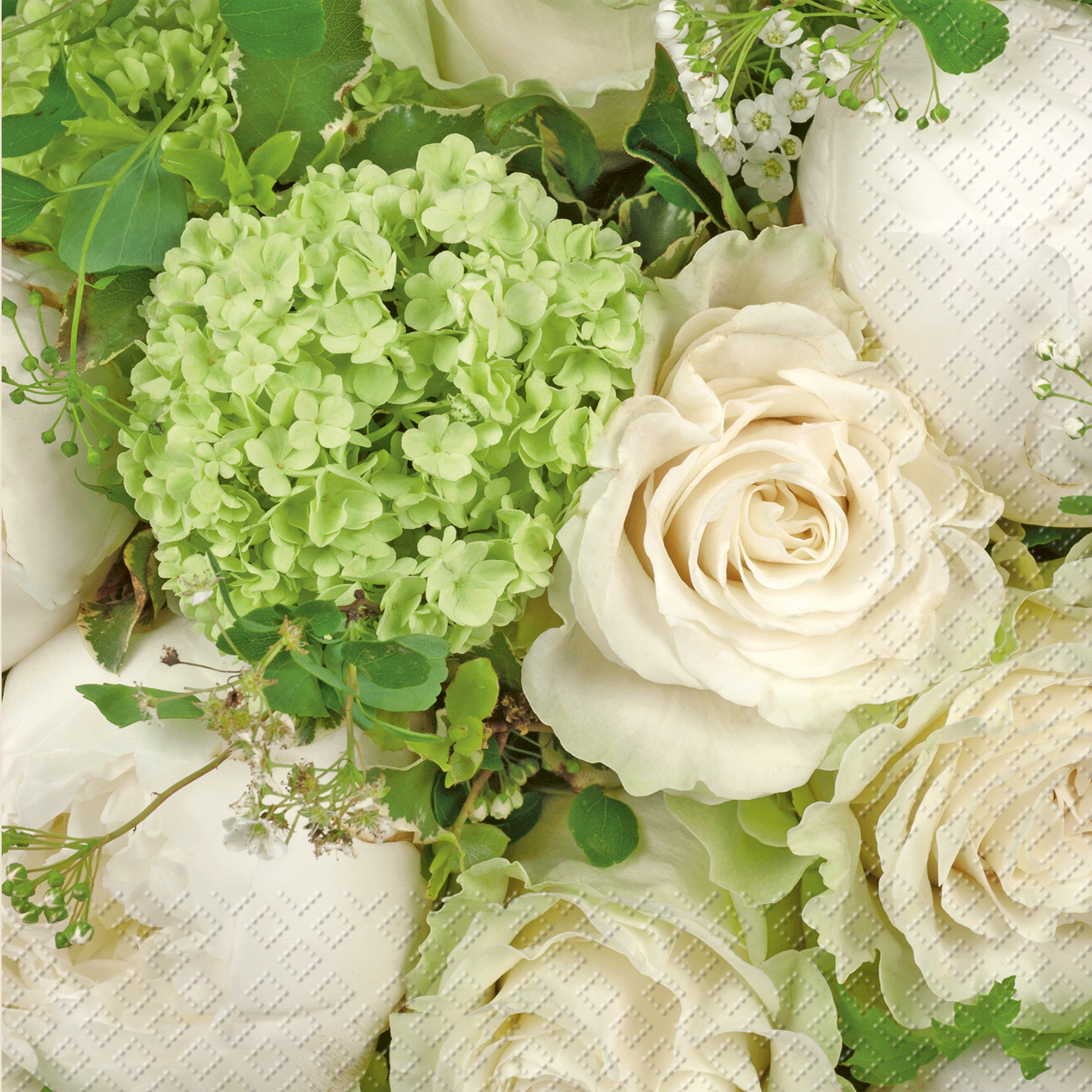 STEWO-2572623146-7630050800539 STEWO Serviette Elaria 33x33cm 2572623146 grün hell 20 Stück – Hochwertig & günstig bei ShopDeca