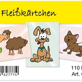 TIMETEX Fleisskärtchen 62777 110 Karten im Etui