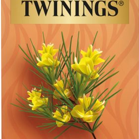 TWININGS Pure Rooibos 100017265 Beutel 2g, 20 Stk.