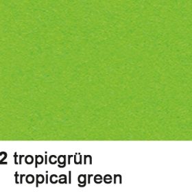 URSUS Fotokarton A3 1134652 300g, tropicgrün 100 Blatt