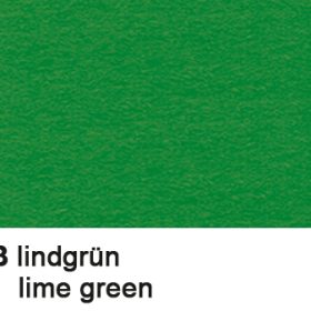 URSUS Tonzeichenpapier 50x70cm 2232253 130g, lindengrün
