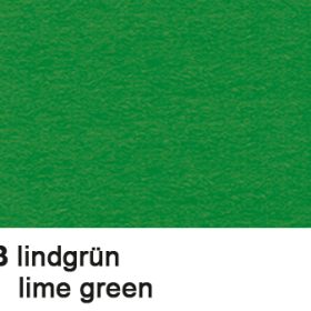 URSUS Fotokarton A4 3764653 300g, lindengrün 100 Blatt