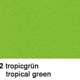 URSUS Fotokarton 70x100cm 3881452 300g, tropicgrün
