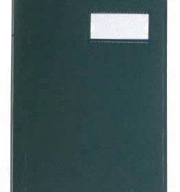 VIQUEL Sichtbuch A4 508003-04 grün 40 Taschen