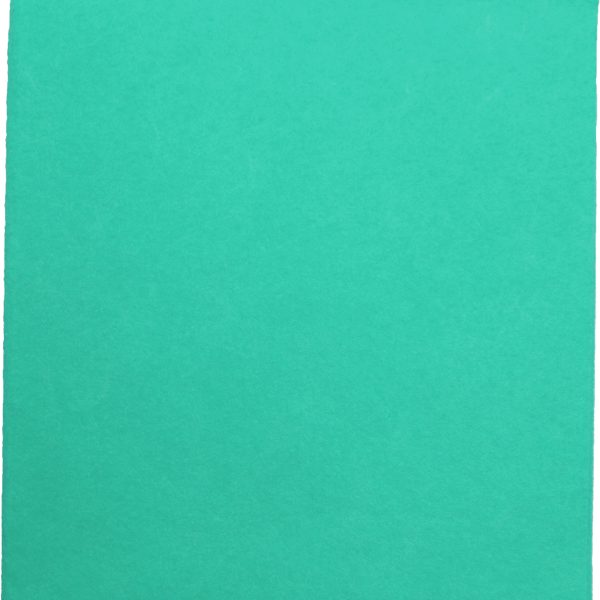 WEITACLEAN Allzwecktuch Olivia 38x40cm 721263 grün 30 Stück