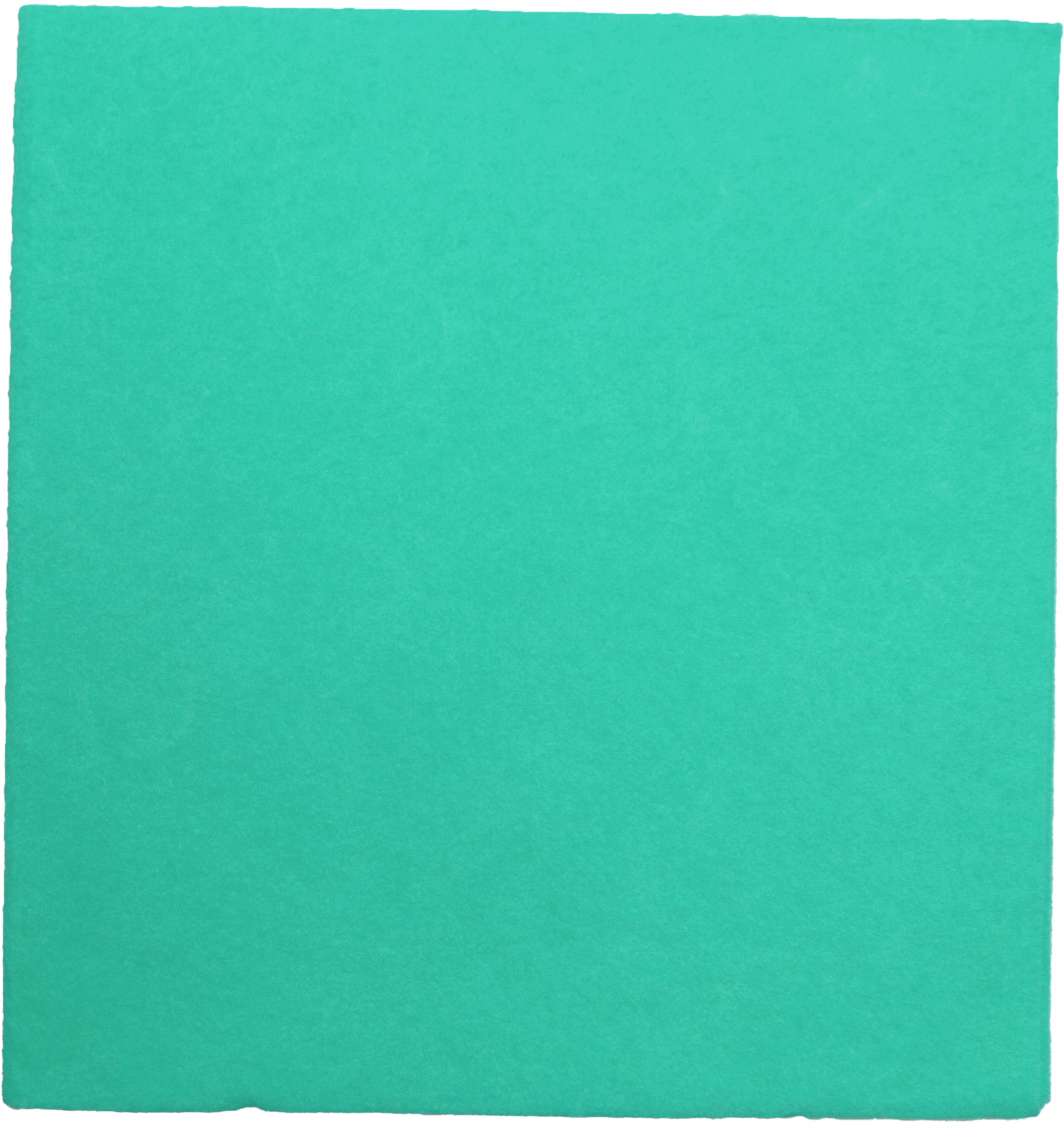 WEITACLEAN-721263-7610588109441 WEITACLEAN Allzwecktuch Olivia 38x40cm 721263 grün 30 Stück – Hochwertig & günstig bei ShopDeca