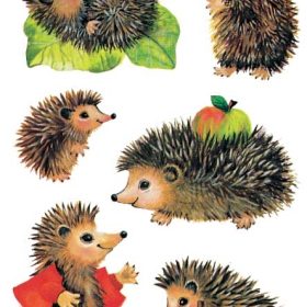 Z-DESIGN Sticker Kids 4306 Igel 3 Stück