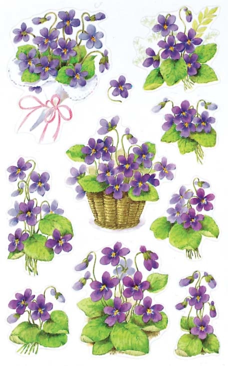 Z-DESIGN-4317-4004182043172 Z-DESIGN Sticker Creative 4317 Veilchen 2 Stück – Hochwertig & günstig bei ShopDeca