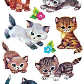 Z-DESIGN Sticker Kids 4346 Katzen 3 Stück