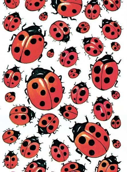 Z-DESIGN Sticker Creative 4400 Marienkäfer 2 Stück