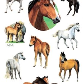 Z-DESIGN Sticker Kids 53483 Bauernhoftiere 2 Stück