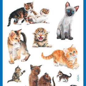 Z-DESIGN Sticker Kids 53574 Katzen 3 Stück