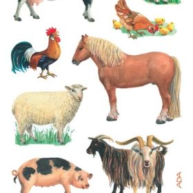 Z-DESIGN Sticker Kids 53720 Bauernhoftiere 2 Stück