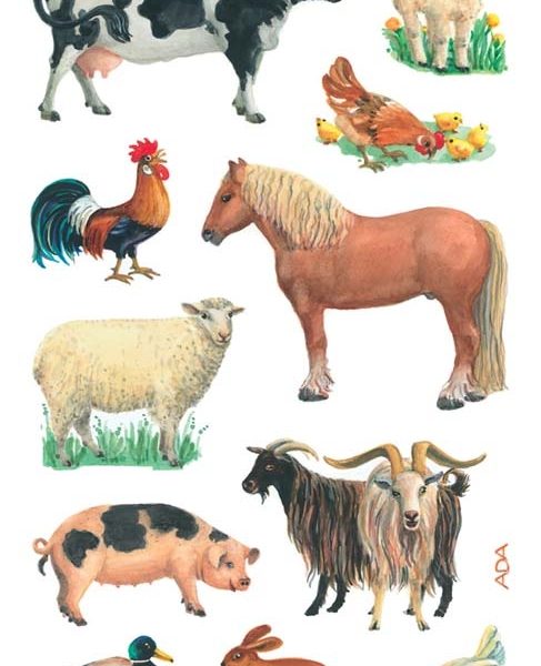 Z-DESIGN Sticker Kids 53720 Bauernhoftiere 2 Stück