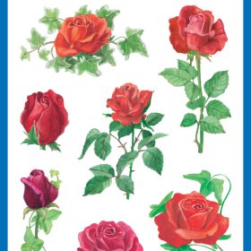 Z-DESIGN Sticker Creative 54261 Rosen 3 Stück