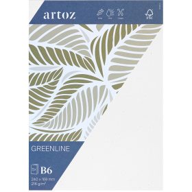ARTOZ Karten 1001 B6 19236226-211 216g, birch 5 Blatt