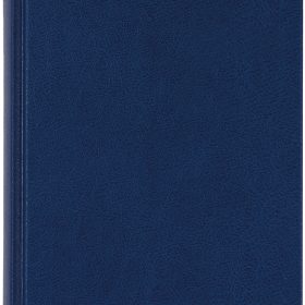BIELLA Geschäftsagenda Tower ML 2027 800311050027U 1T/2S blau ML 13.5x31.5cm