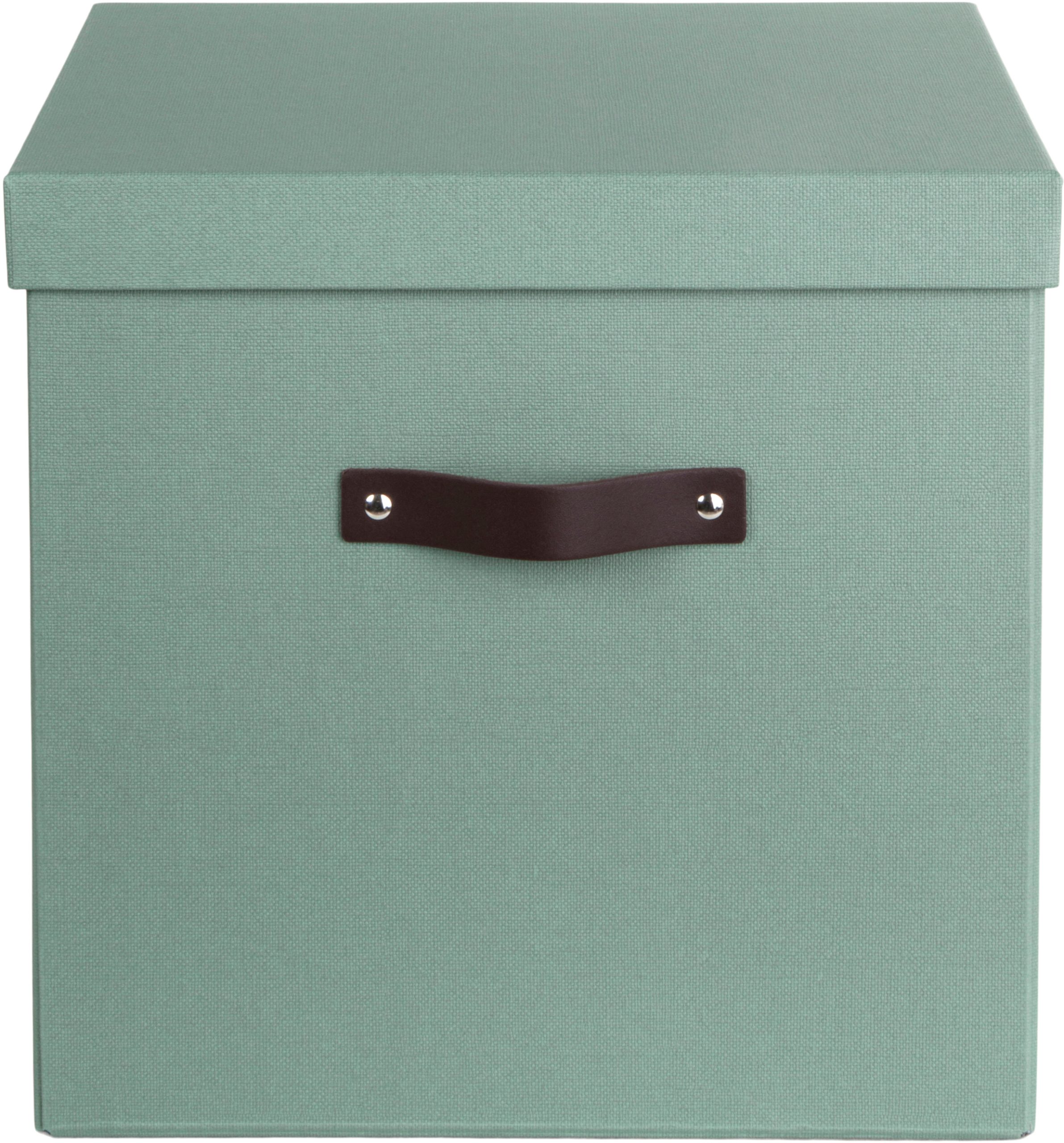 BIGSO-BOX-OF-SWEDEN-9901C1649L01-7330061072535 BIGSO BOX OF SWEDEN Aufbewahrungsbox Logan 9901C1649L01 mintgrün 31.5x31x31.5cm – Bild 1