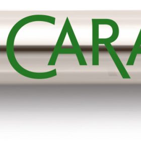 CARAN D'ACHE Mine Goliath M 8418.000 grün