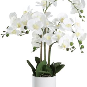 EGLO Kunstpflanze 65cm 428024 Orchidee, im Topf