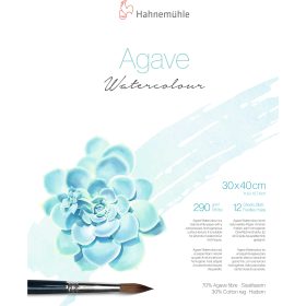 HAHNEMÜHLE Aquarellblock Agave 30x40cm 10625402 weiss, 290g 12 Blatt