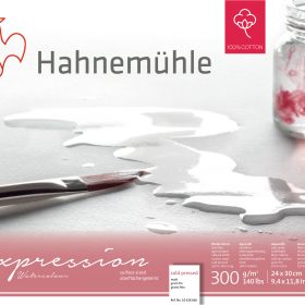 HAHNEMÜHLE Aquarellbl. Expression 24x30cm 10628666 weiss, 300g 20 Blatt