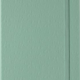 MOLESKINE Notizbuch Classic L/A5 8056999279080 liniert, salbeigrün