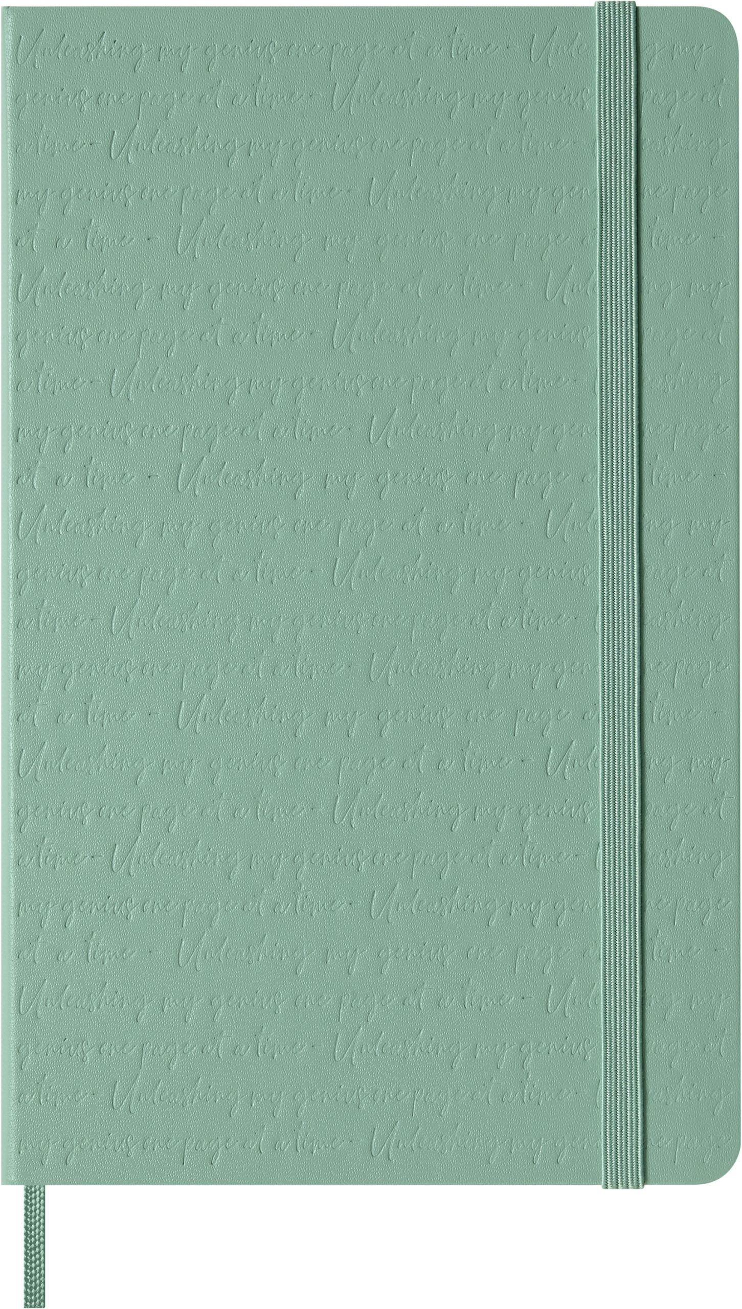 MOLESKINE-8056999279080-8056999279080 MOLESKINE Notizbuch Classic L/A5 8056999279080 liniert, salbeigrün – Bild 1